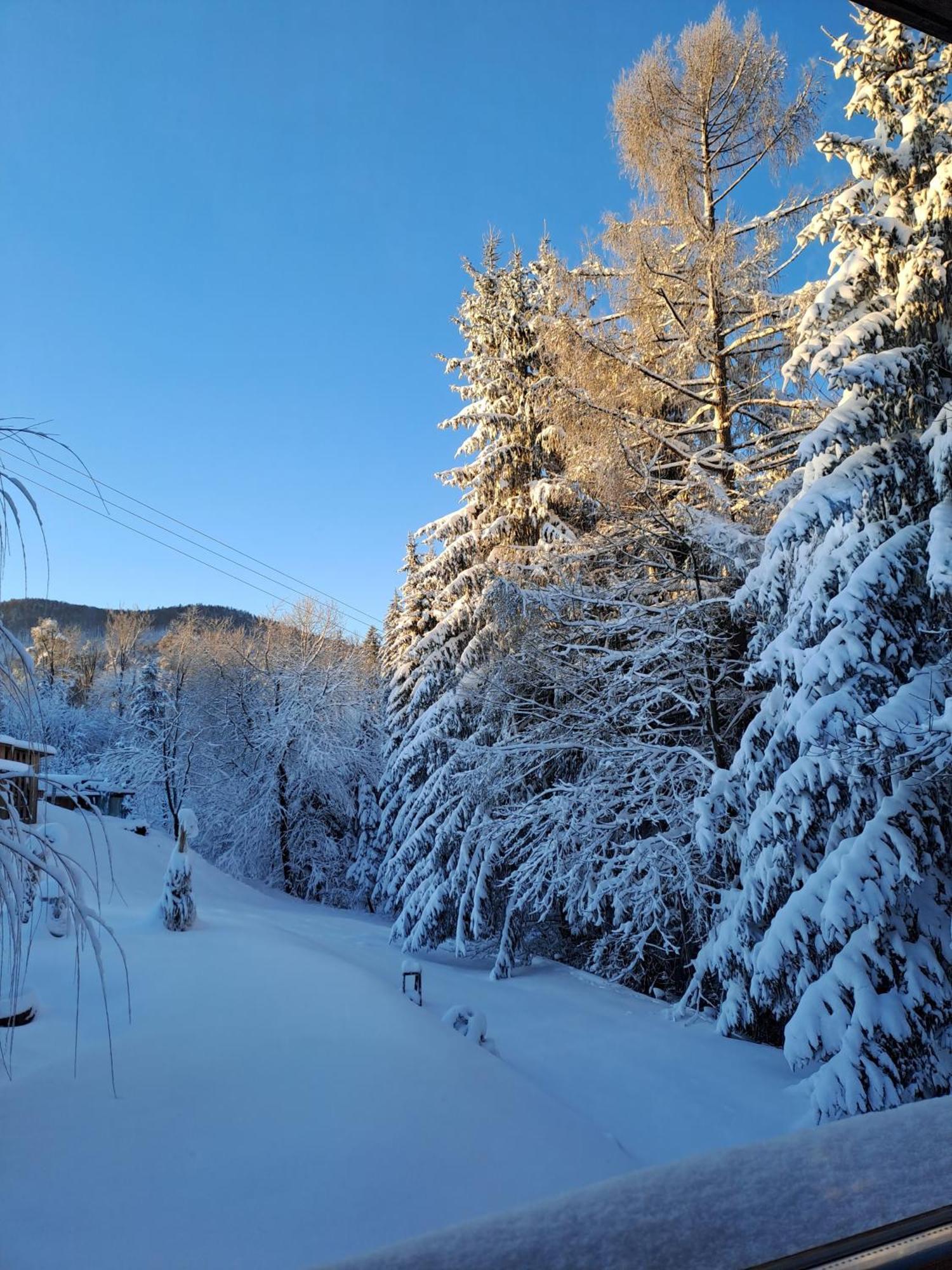 Family House Villa Мозирие Екстериор снимка